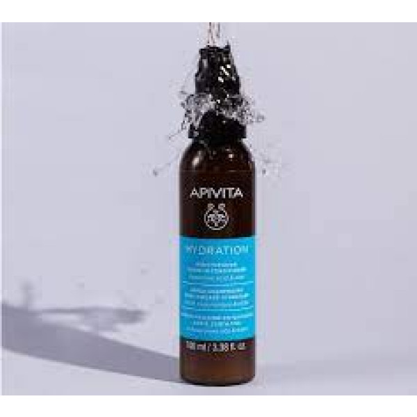 Apivita Capil Condic Leave-In Hid 100ml